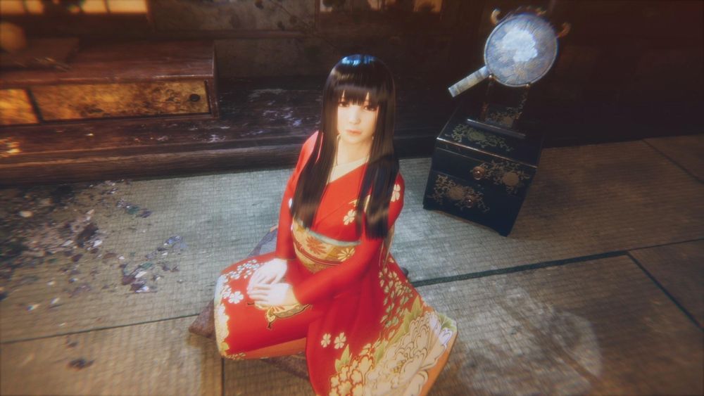 Hollow Cocoon Nintendo Switch version